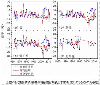  中国物候观测网北京站典型植物物候观测数据