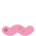 ../_images/wormPink.png