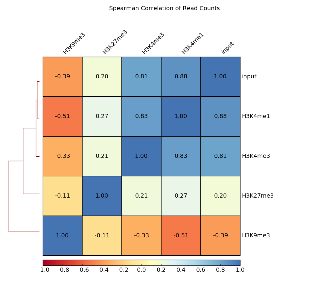 ../_images/heatmap_SpearmanCorr_readCounts.png