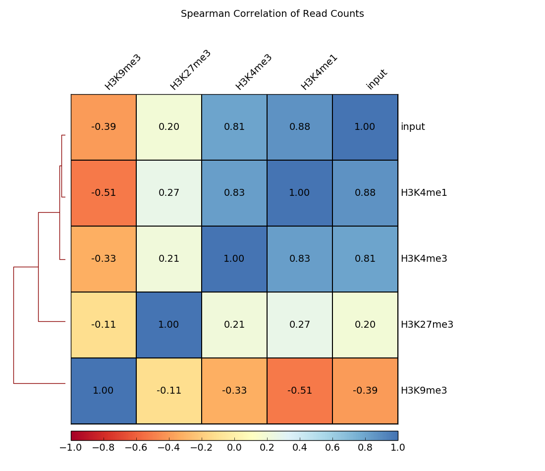 ../../_images/heatmap_SpearmanCorr_readCounts.png