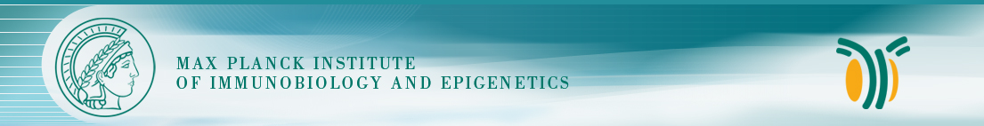_images/logo_mpi-ie1.jpg