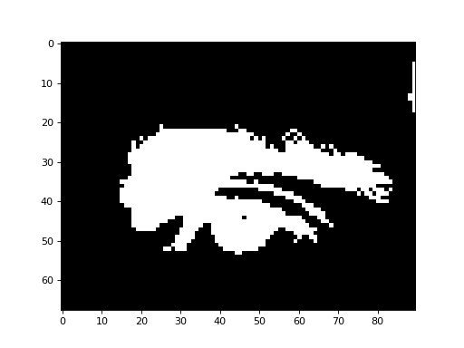 _images/morphology-1.png