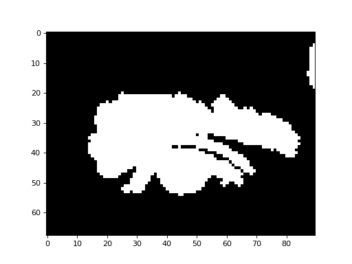 _images/morphology-2.png