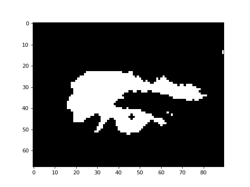 _images/morphology-3.png