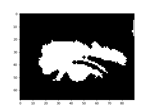 _images/morphology-4.png