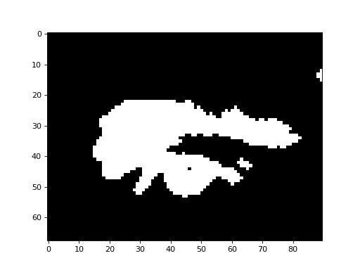 _images/morphology-5.png
