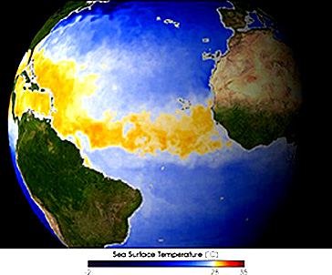 Warm zones in Atlantic equatorial waters monitored by Aqua in Summer 2003.