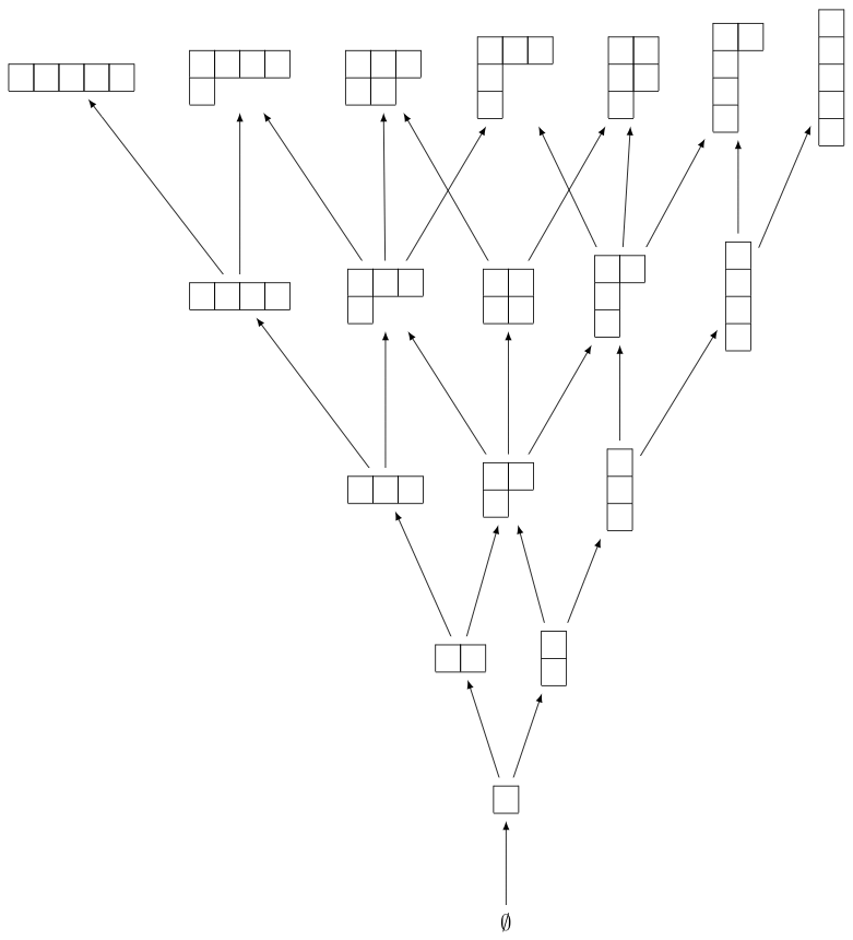 ../_images/young_lattice.png