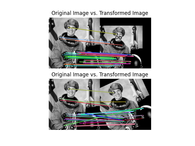 Original Image vs. Transformed Image, Original Image vs. Transformed Image