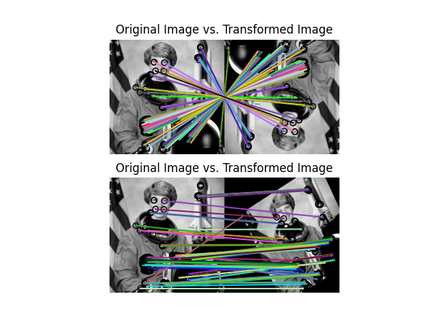 Original Image vs. Transformed Image, Original Image vs. Transformed Image