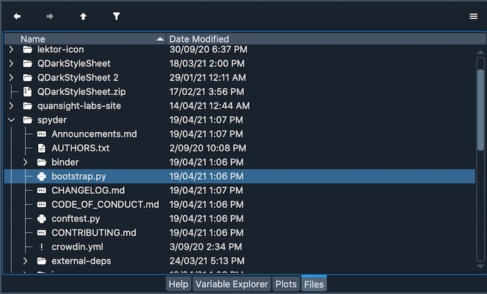 Spyder File Explorer panel, showing a tree view of files and metadata