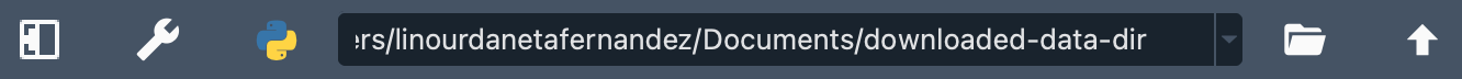 Spyder's Working Directory plugin showing the working directory downloaded-data-dir