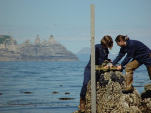 Tidal Gauge Image Credit: NOAA