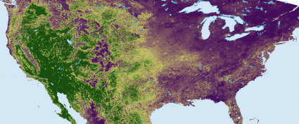 AVHRR NDVI Composite