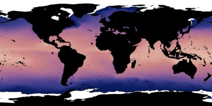 AVHRR Sea Surface Temperature