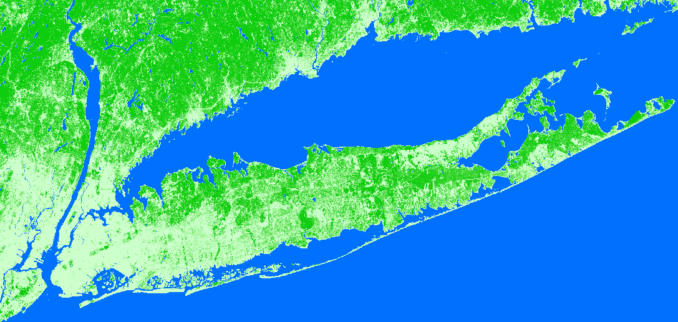 global land cover