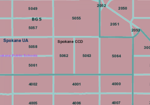 TIGER GIS Data4