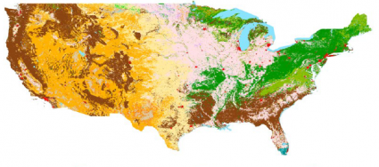 TerraPop Landcover