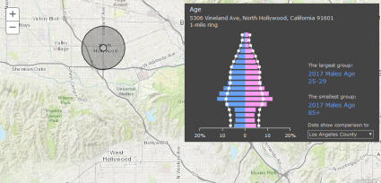 esri javascript api geo-enrichment
