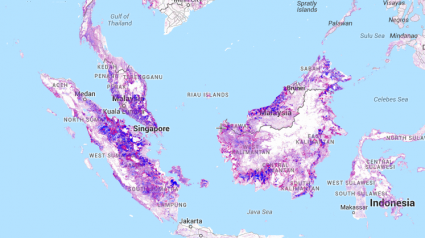 Global Forest Map