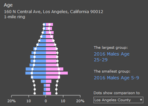 infographics age pyramid