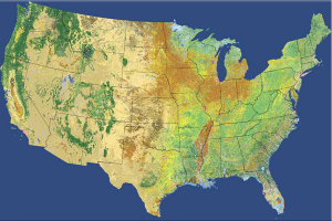 National Land Cover Dataset