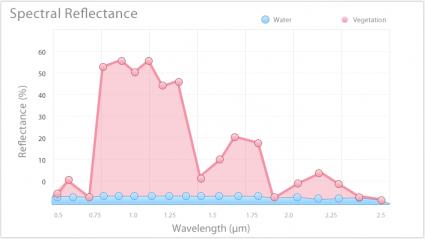 Vegetation and water spectral signature line graph