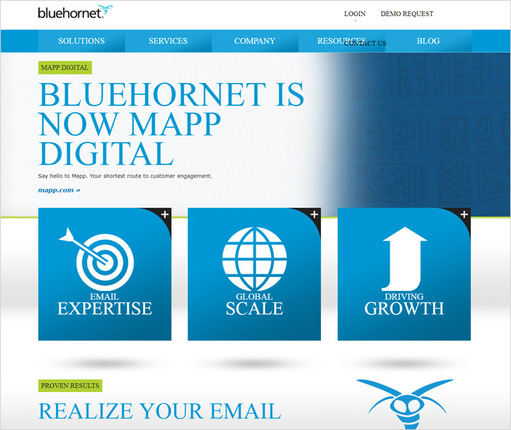 BlueHornet