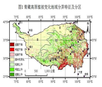  青藏高原植被变化区域分异分析数据