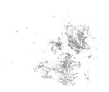  2000年松花江流域盐碱地生态系统数据