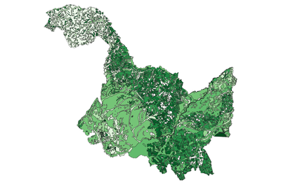 黑龙江省植被类型矢量数据
