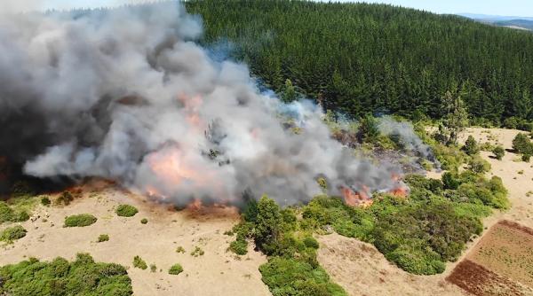 遥感和 GIS 技术在飓风和台风灾害管理中的作用