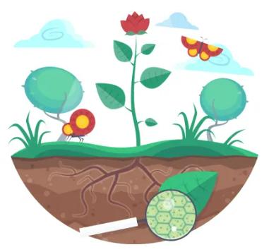 植物学