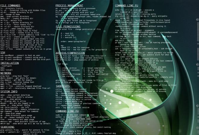 推荐适合初学者的 25 个基本 Linux 命令