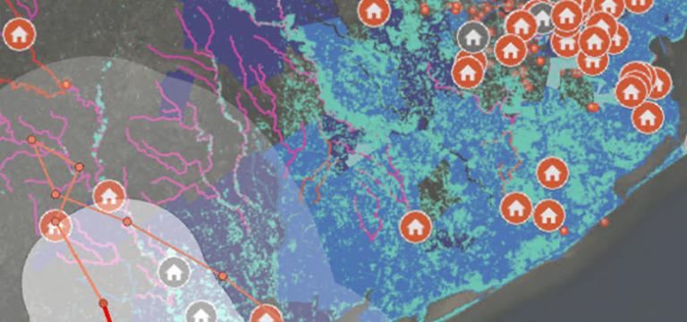 在 ArcGIS Pro 中构建、分析和过滤目录图层