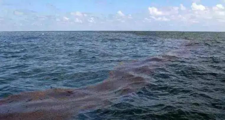海洋学和石油泄漏