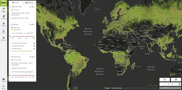 全球森林地图