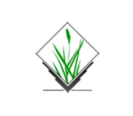 GRASS GIS 8.4.0RC1 发布