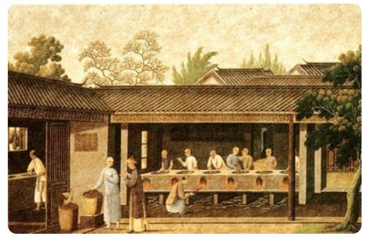茶叶生产