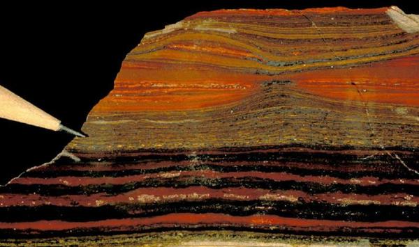 培养你的技术技能