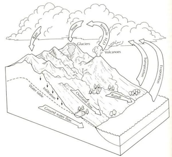 水文循环的作用