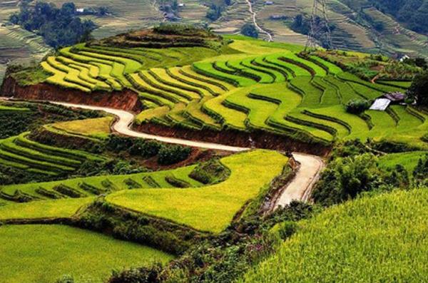 丘陵