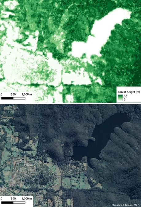 显示森林高度的绿色层作为顶部图像，底部图像是该地区的卫星图像。