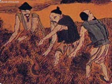 小米