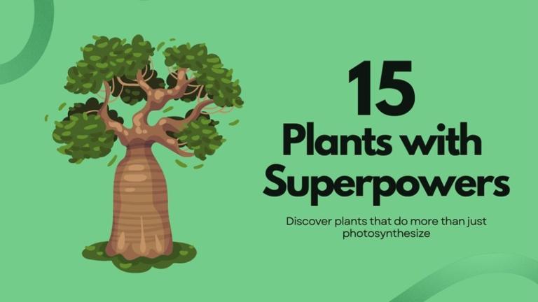 15种具有超能力的植物