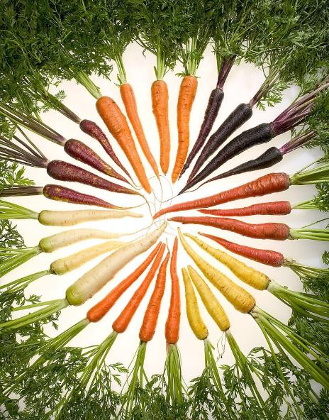 为素食爱好者提供的 29 个胡萝卜饮食小知识