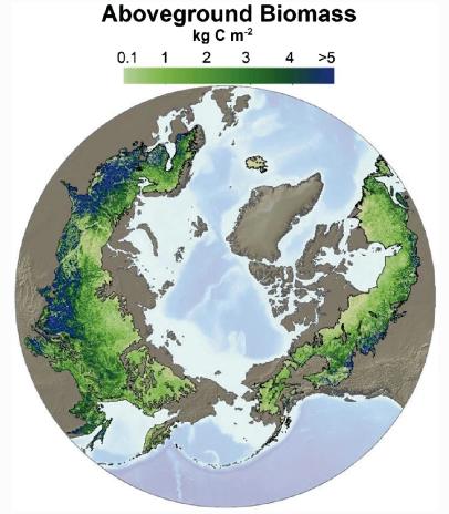 利用遥感绘制森林地上生物量图