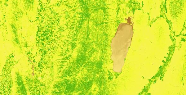 使用栅格计算器在 QGIS 中计算的归一化差异植被指数 (NDVI)