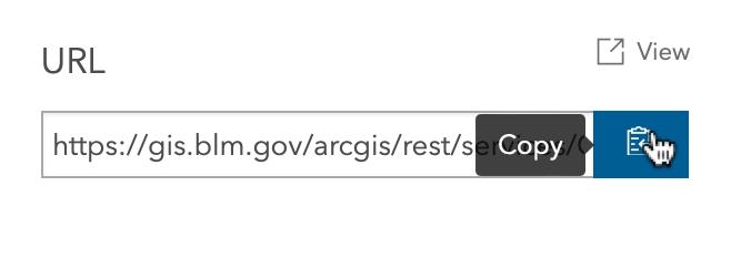 显示如何从 ArcGIS Online 复制地图服务 URL